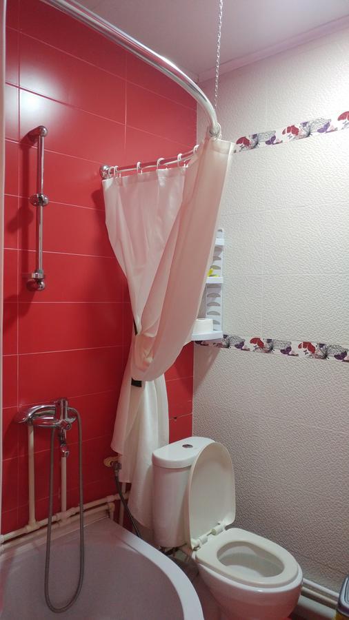 Natali'S House Apartment Borjomi Ngoại thất bức ảnh